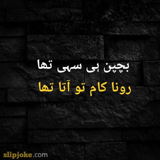 Urdu poetry 2 lines