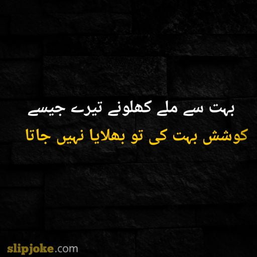 Urdu poetry 2 lines