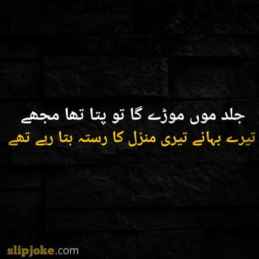 Urdu poetry 2 lines