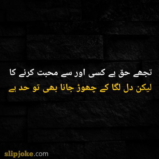 Urdu poetry 2 lines