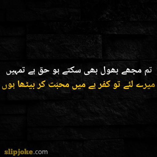 Urdu poetry 2 lines