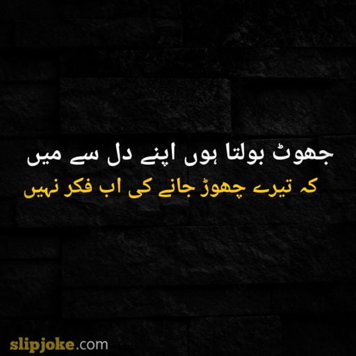 Urdu poetry 2 lines