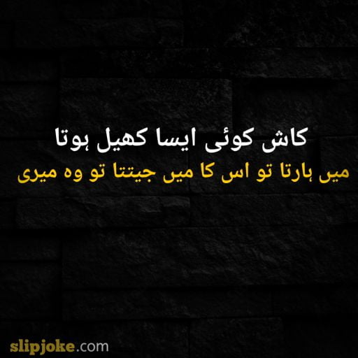 Urdu poetry 2 lines