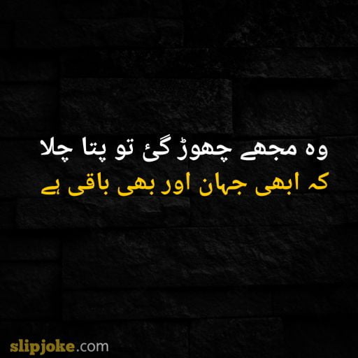 Urdu poetry 2 lines