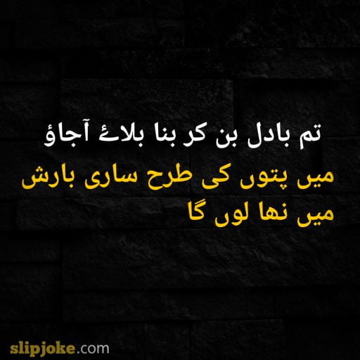 Urdu poetry 2 lines