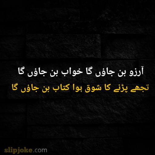 Urdu poetry 2 lines