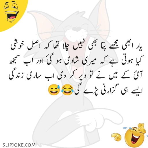 Funny jokes in urdu for friends