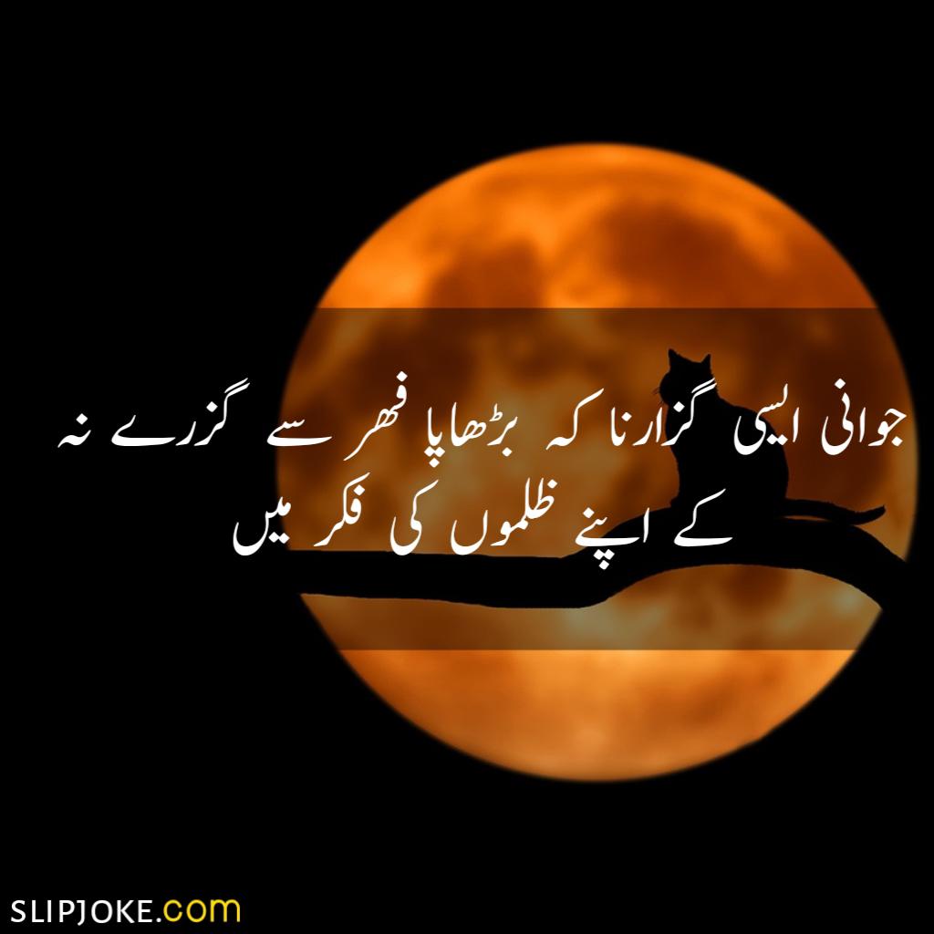 Urdu quotes about life