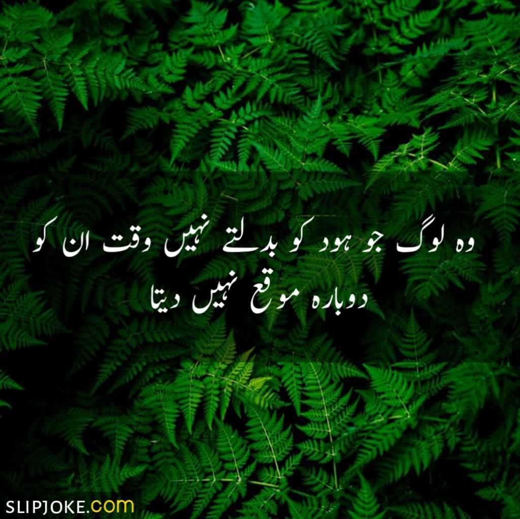 Urdu quotes about life