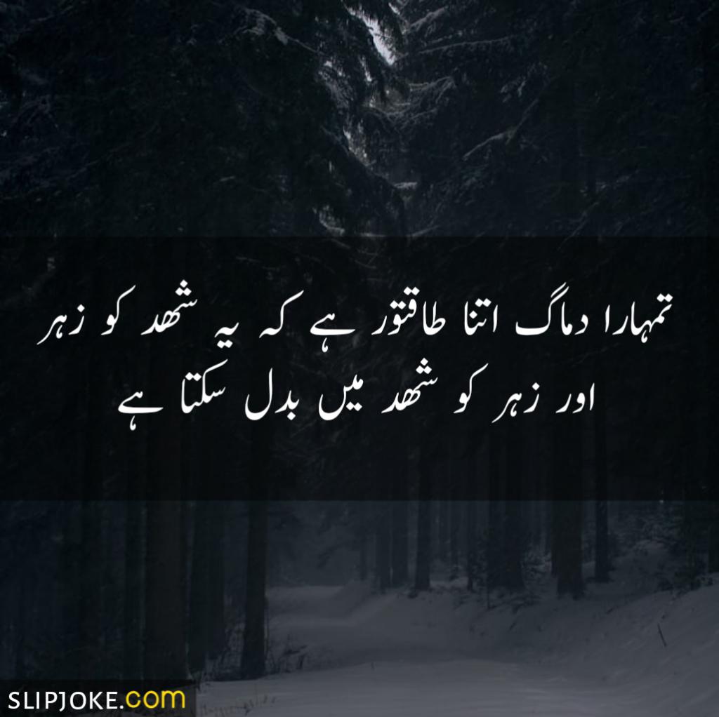 Quotes in urdu