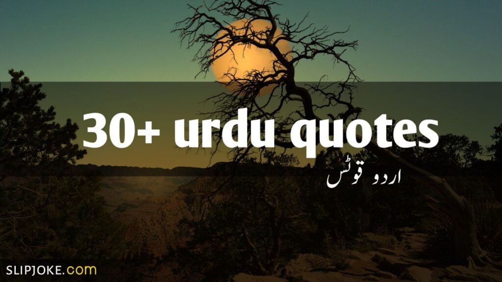 30+ Urdu quotes by slipjoke