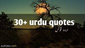 30+ Urdu quotes by slipjoke