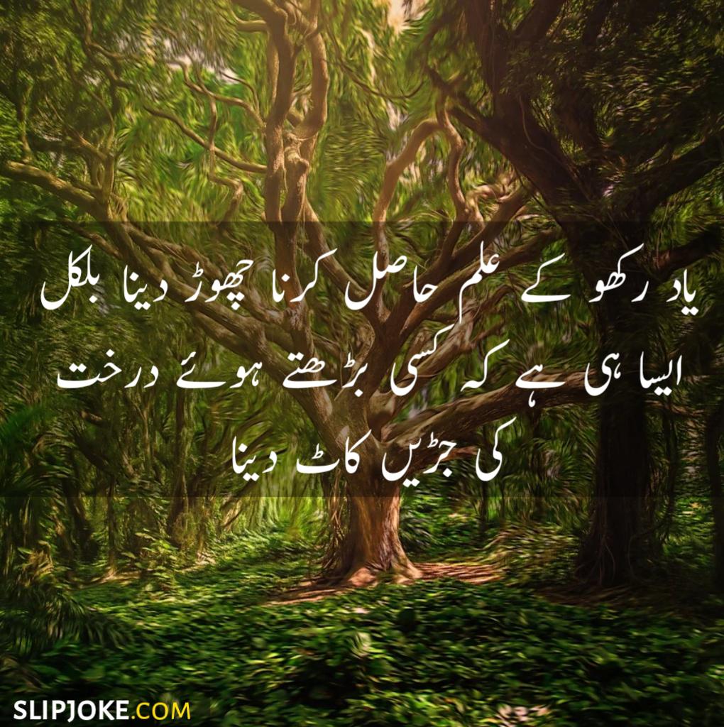 Motivational quotes in urdu