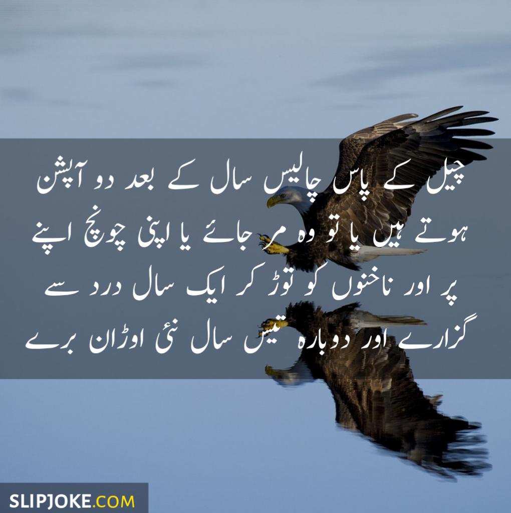 Motivational quotes in urdu