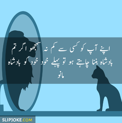 Motivational quotes in urdu