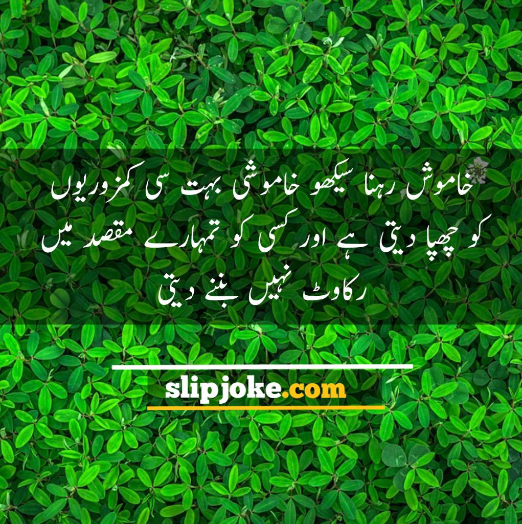 Motivational quotes in urdu for success