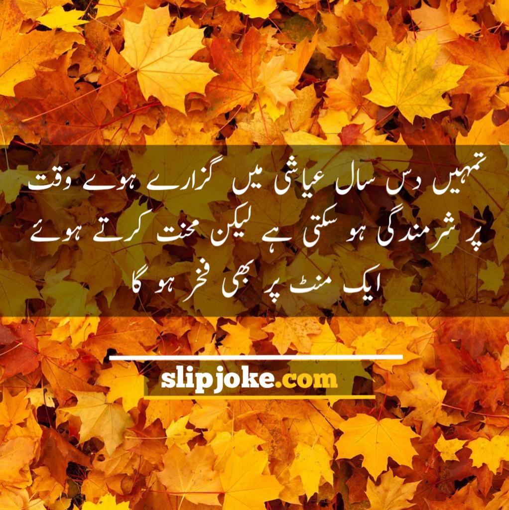 Motivational quotes in urdu for success