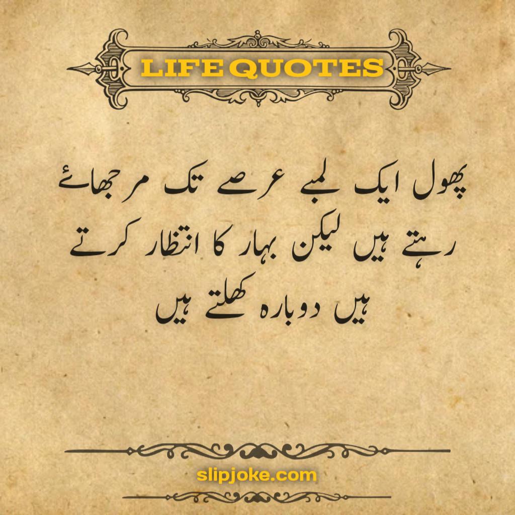 Urdu quotes about life for success