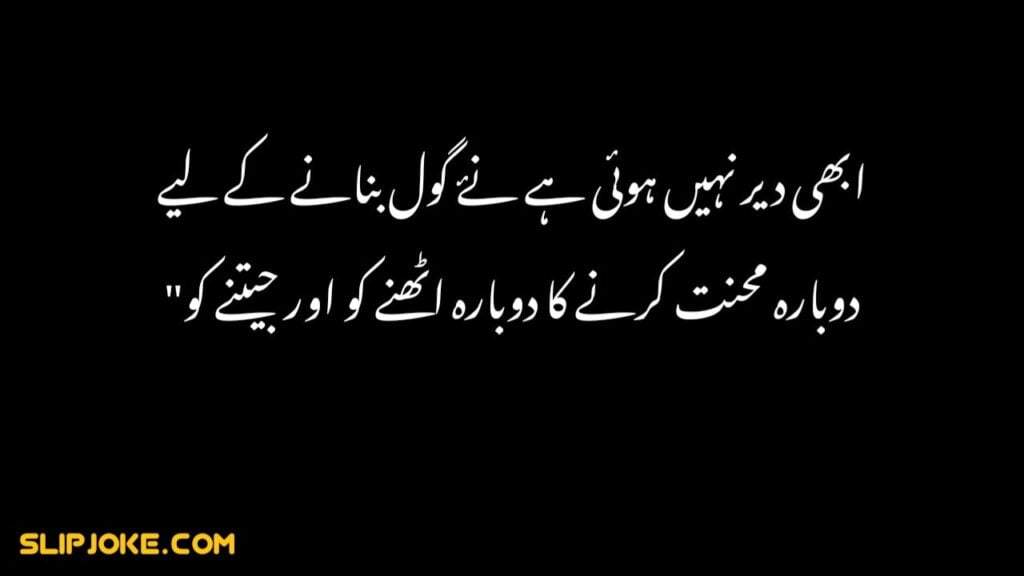 Motivation for success urdu quotes