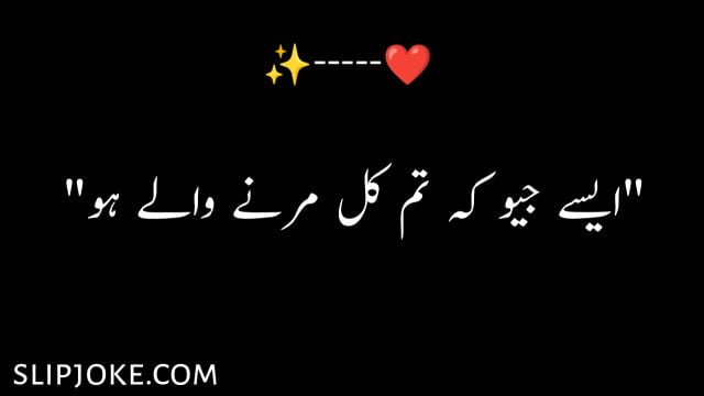 One line quotes in urdu