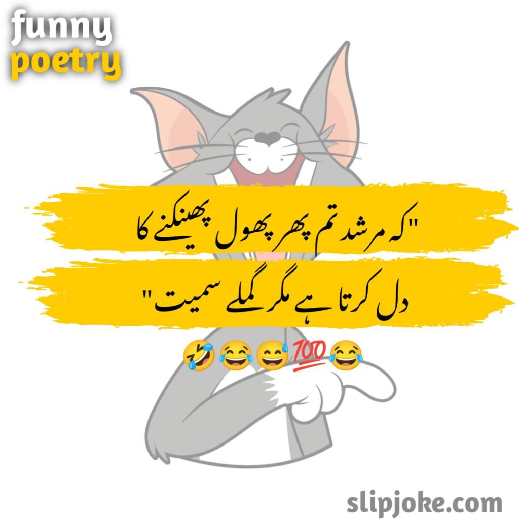 Funny poetry in urdu