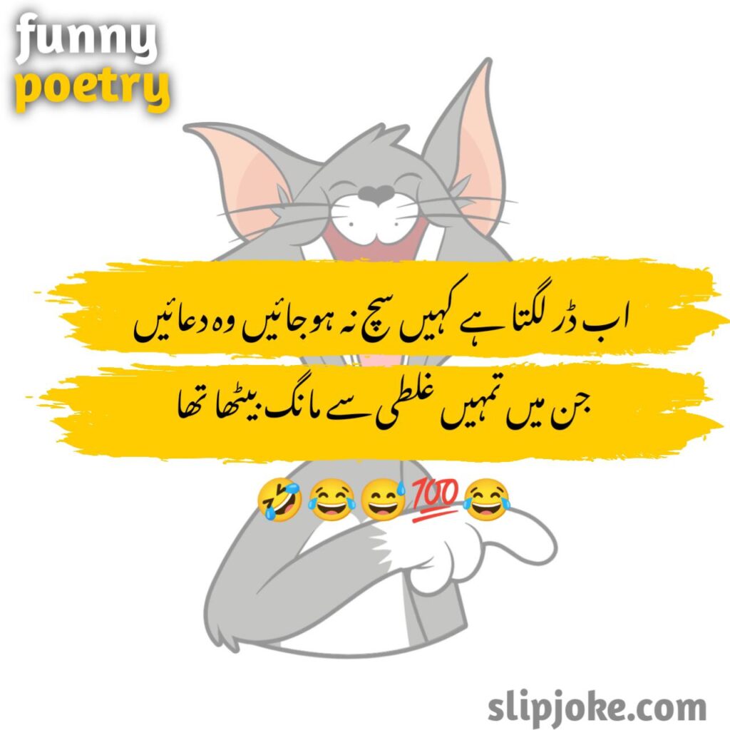 Funny poetry in urdu