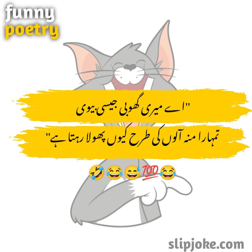 Funny Urdu Poetry