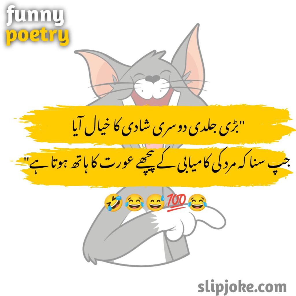 Funny Urdu Poetry