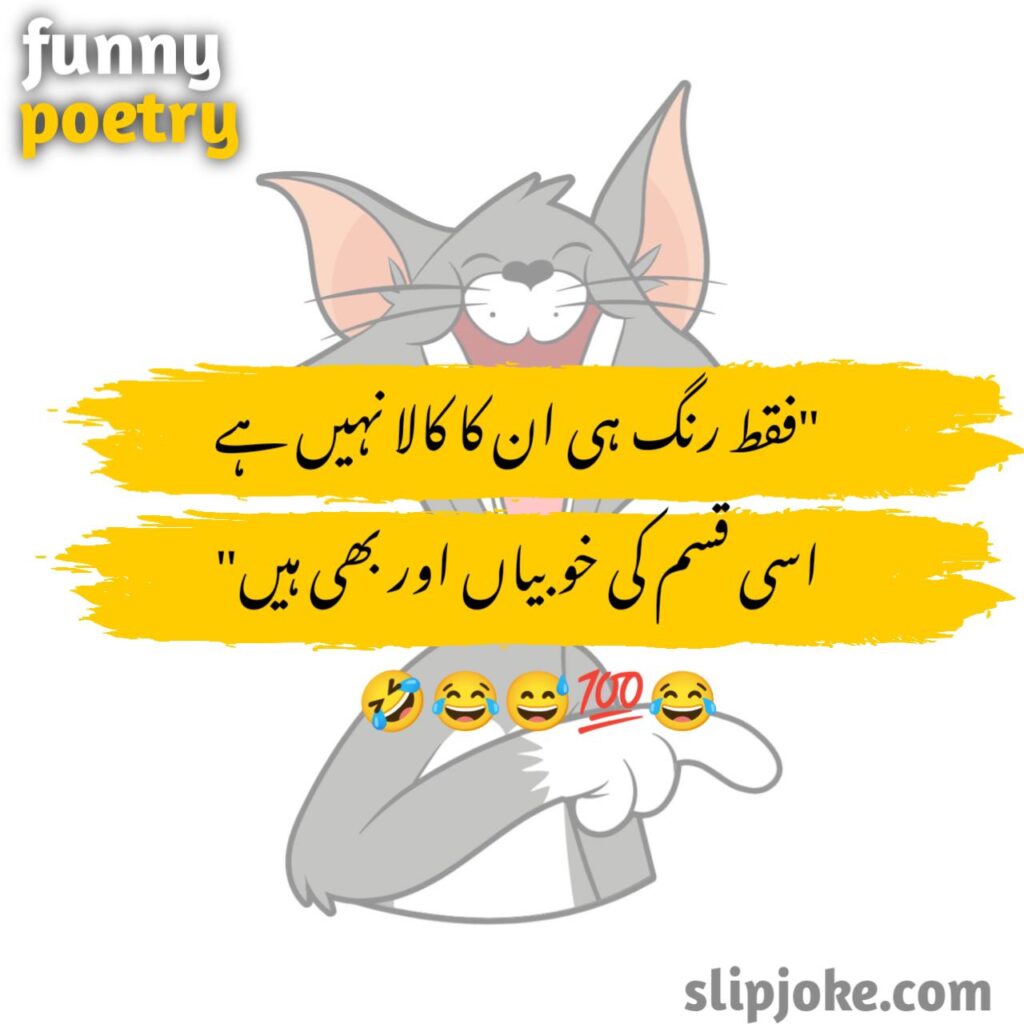 Funny poetry in urdu