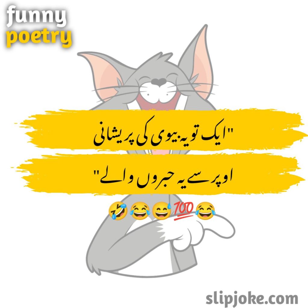 Funny poetry in urdu