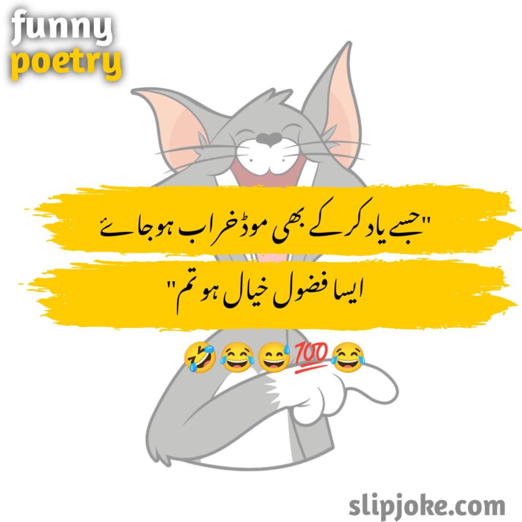 Funny poetry in urdu