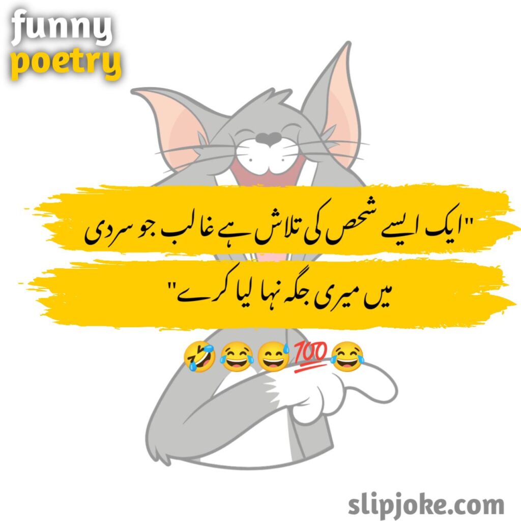 Funny poetry in urdu