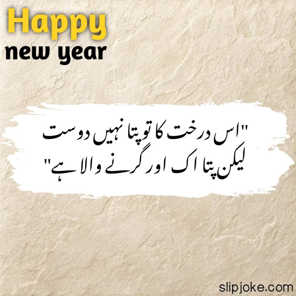 New year poetry in urdu